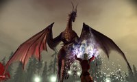 Bioware's upcoming role-playing epic, Dragon Age: Origins, is being released in several different versions depending on where you buy it.