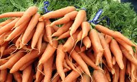 There are ways to pick out vegetables so that you are getting the absolute best quality product.