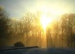 The Hormone Awakening 