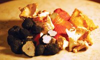 Mushrooms are not only delicious but good for you too.