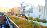 For my first post-marathon run, I chose to explore New York City’s newest park: The High Line.
