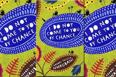 Adaobi Tricia Nwaubani, a Nigerian, writes believably of the Nigerian big business characters in I Do Not Come To You by Chance.