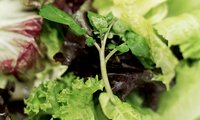Michelle Obama may smile about garden burgers, whole wheat buns, and low-fat milk, but I get a headache just by reading the ingredient lists.