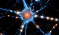 When habits morph into obsessions, and intensity into anxiety, I take my son to therapy: craniosacral therapy.
