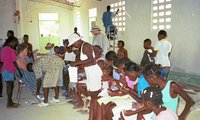 Protein is in short supply in poverty stricken Haiti. Volunteers are helping to establish crops. 