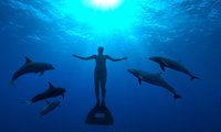 'The Cove,' released on DVD last year, will soon be available in Japan