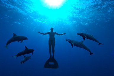 'The Cove,' released on DVD last year, will soon be available in Japan