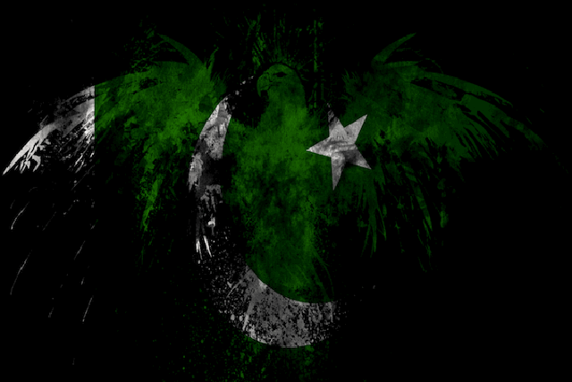 Each of emerging Pakistan's national heroes is a phoenix rising from the ashes, symbolizing triumph over adversity.