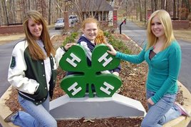 4-H Symbol