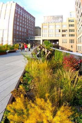 The High Line in Autumn