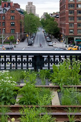 View from The High Line (Photo/Iwan Baan) View from The High Line (Photo/Iwan Baan)