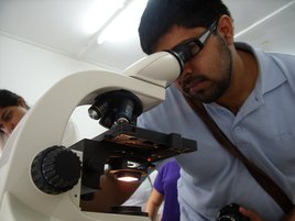 Really researching? Or just pretending? Scientist looks into a microscope