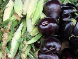 corn/eggplant