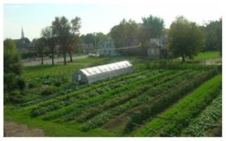 Detroit Earthworks Farms - Farm Rows