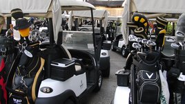 Carts stand at the ready for Innisbrook golfers (Photo/J.Kubin)