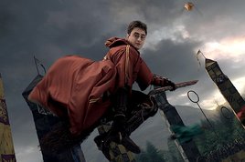Harry Potter and the Forbidden Journey