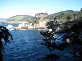 View from Point Lobos View from Point Lobos
