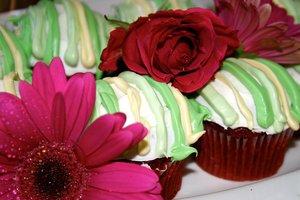Red Velvet Cupcakes for New Moon