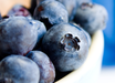 Glutathione is one of the most potent antioxidants our body uses to combat the part of the aging process caused by the numerous oxidative stressors in our environment.