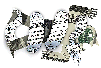 Illustration by Alexander Hunter for The Washington Times