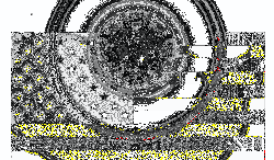 Illustration by Alexander Hunter for The Washington Times