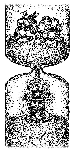 B3-debt-kevin-kreneck-GFW.gif