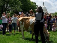 MILK_012_05161522