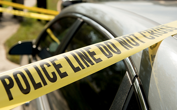 D.C. man won't face gun charges for shooting pit bull attacking boy