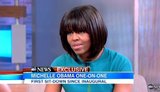 First Lady Michelle Obama on ABC News' "Good Morning America" talking about gun control. Jan. 26, 2013