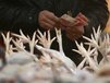 A customer prepares money in a poultry market in Fuyang, central China's Anhui province, Wednesday, Jan. 7, 2009. China said Thursday that no other cases of bird flu have been detected in Beijing and neighboring provinces after a woman died from the avian influenza in a Beijing hospital. Associated Press.