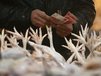 ** FILE ** A customer prepares to pay in a poultry market in Fuyang in central China's Anhui province on Wednesday, Jan. 7, 2009. (Associated Press) 