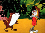 Bugs Bunny (right) and other animated characters are under a fatwa issued by Islamic clerics in India, who say cartoons make a mockery of what the religious leaders say are Allah's creations.

