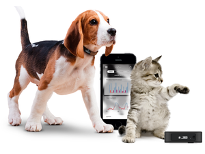 Cyber Monday pet gadget picks