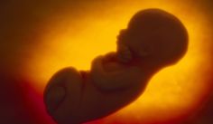 A bill in the Missouri legislature would block doctors from performing an abortion unless the father consented. (Image courtesy of thestar.com).
