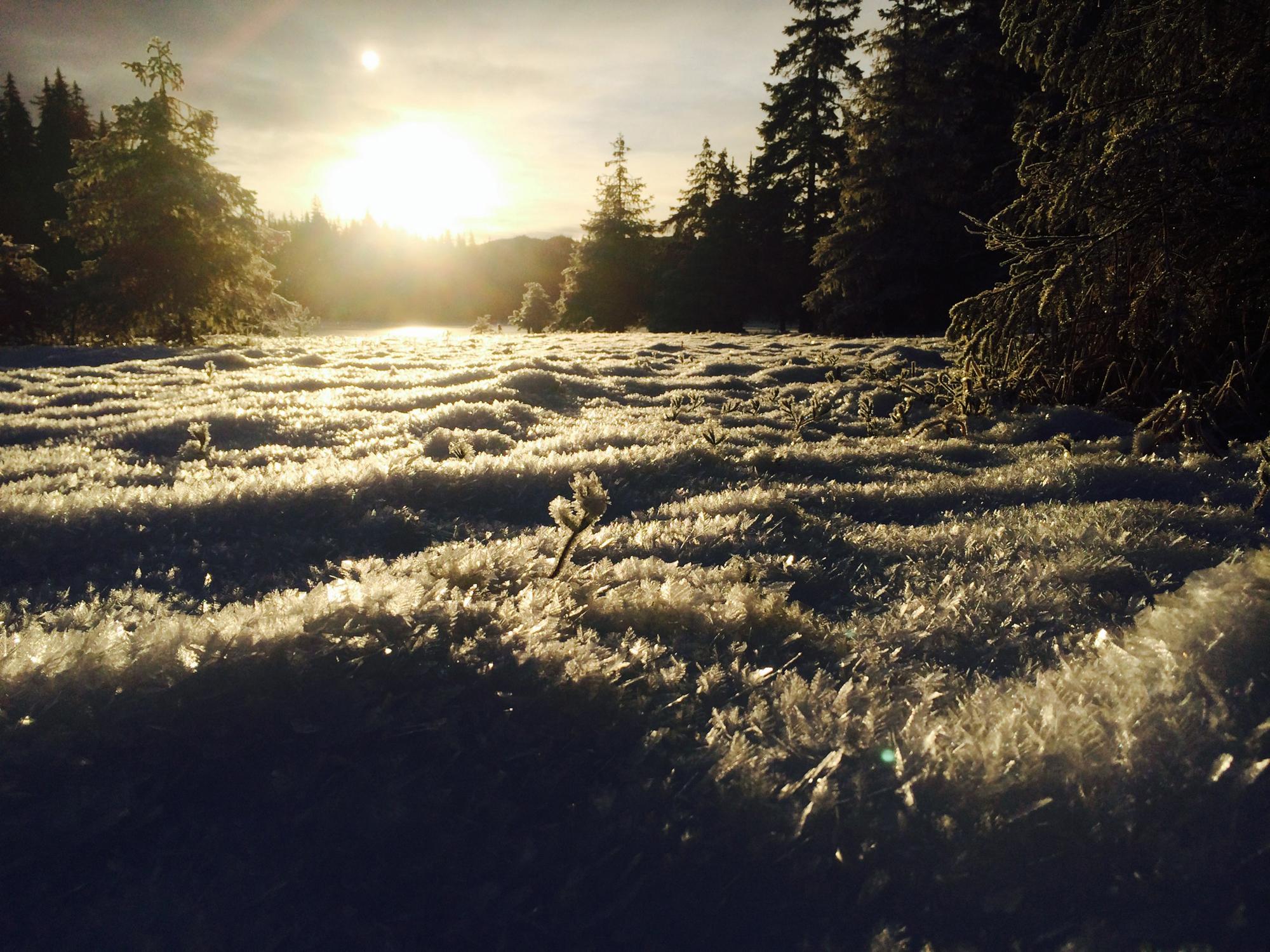 A winter's night at a cabin in Southeast Alaska - Washington Times