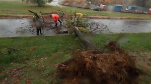 Superstorm Sandy: Police clear tree in Arlington VA