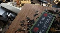 Closer Look at Okla. School Where Children Died
