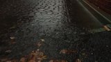 Superstorm Sandy: Alexandria VA, Monday Morning