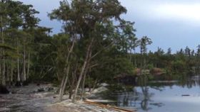 Raw: Louisiana Sinkhole Swallows Giant Trees