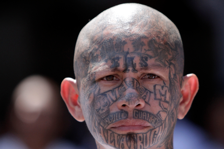 Border agent laments Mexican gang members entering U.S.: 'Why are we ...