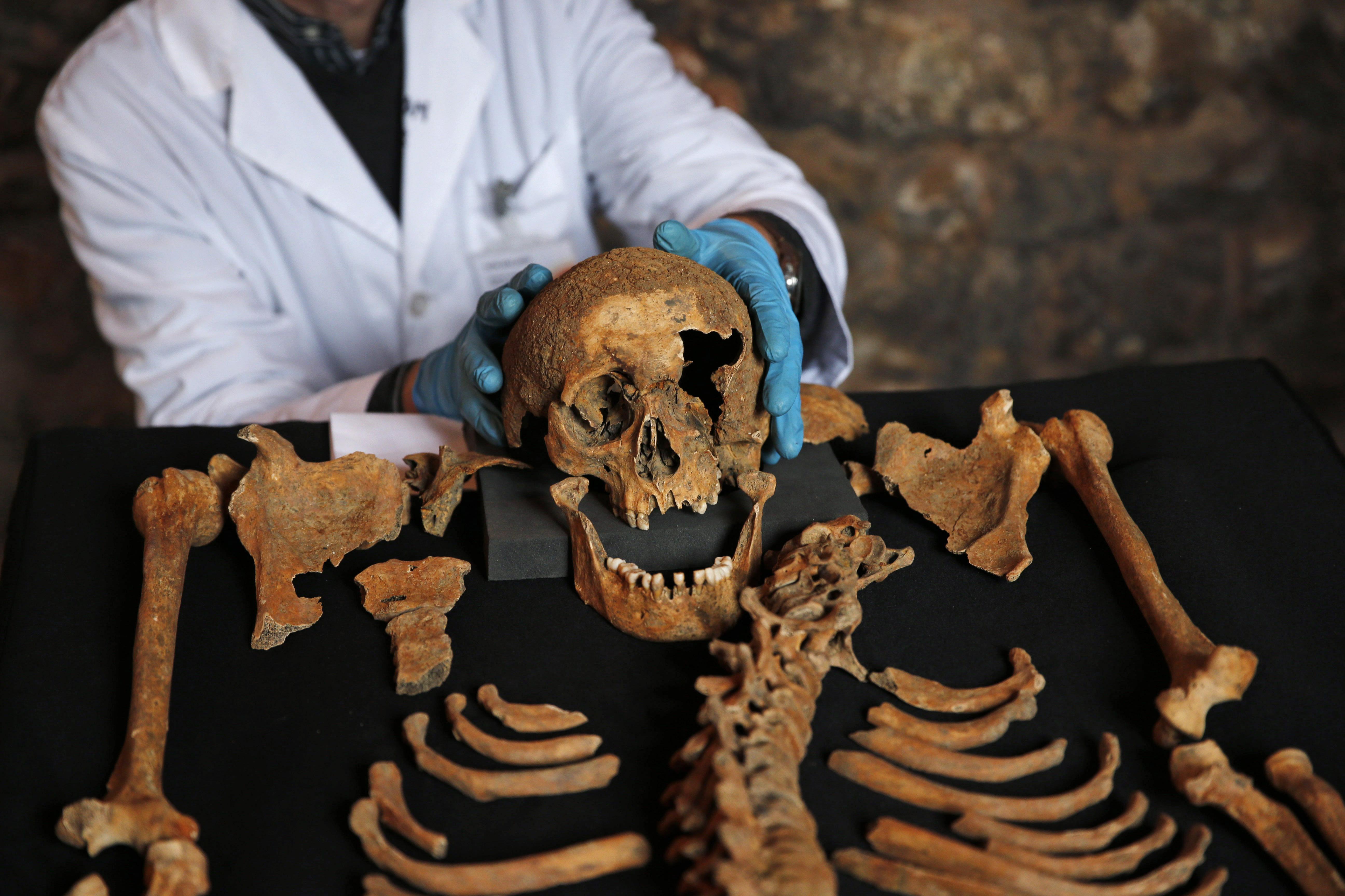 How Black Death survivors gave their descendants a genetic edge