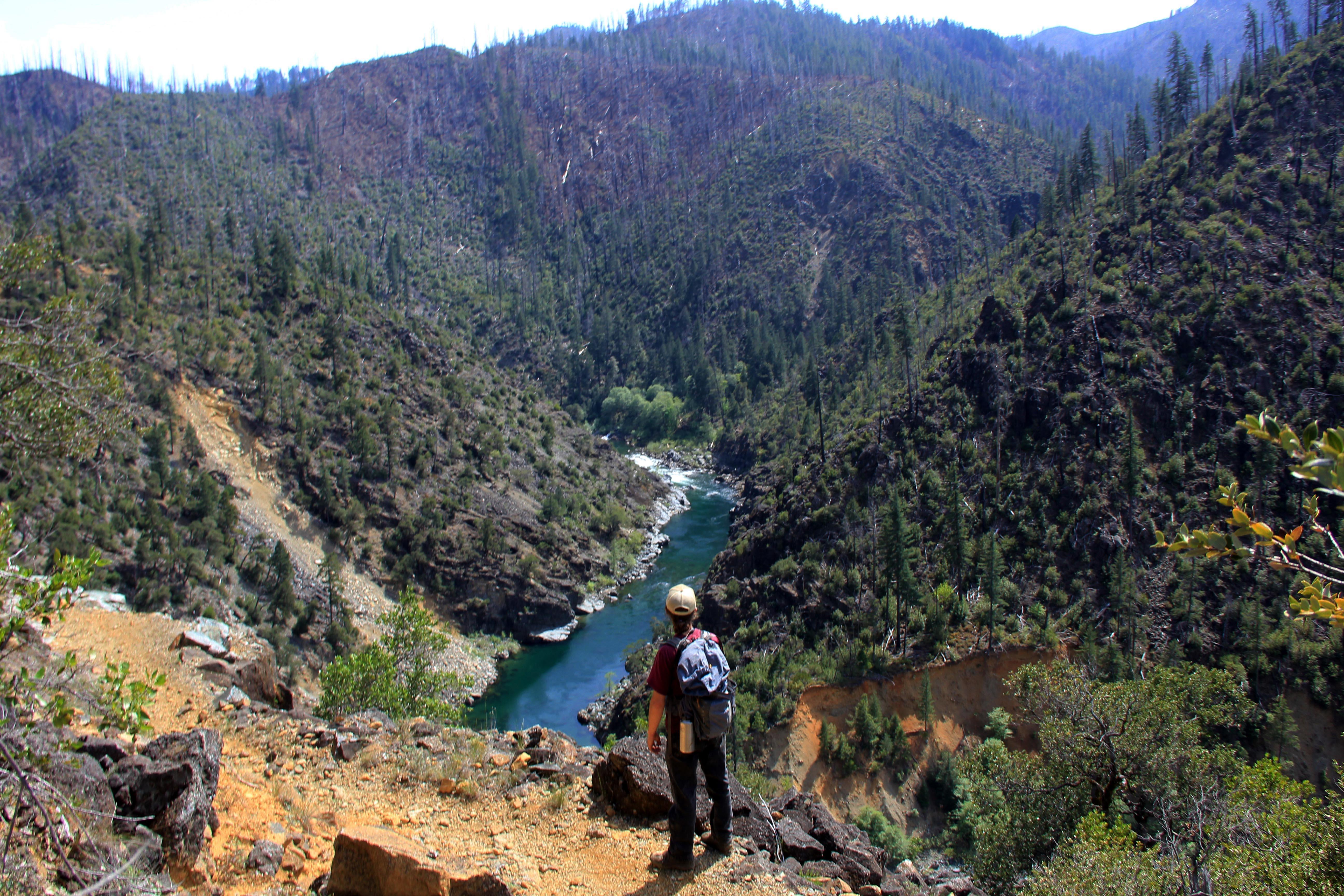 Oregon's Illinois River: wildflowers, wilderness - Washington Times