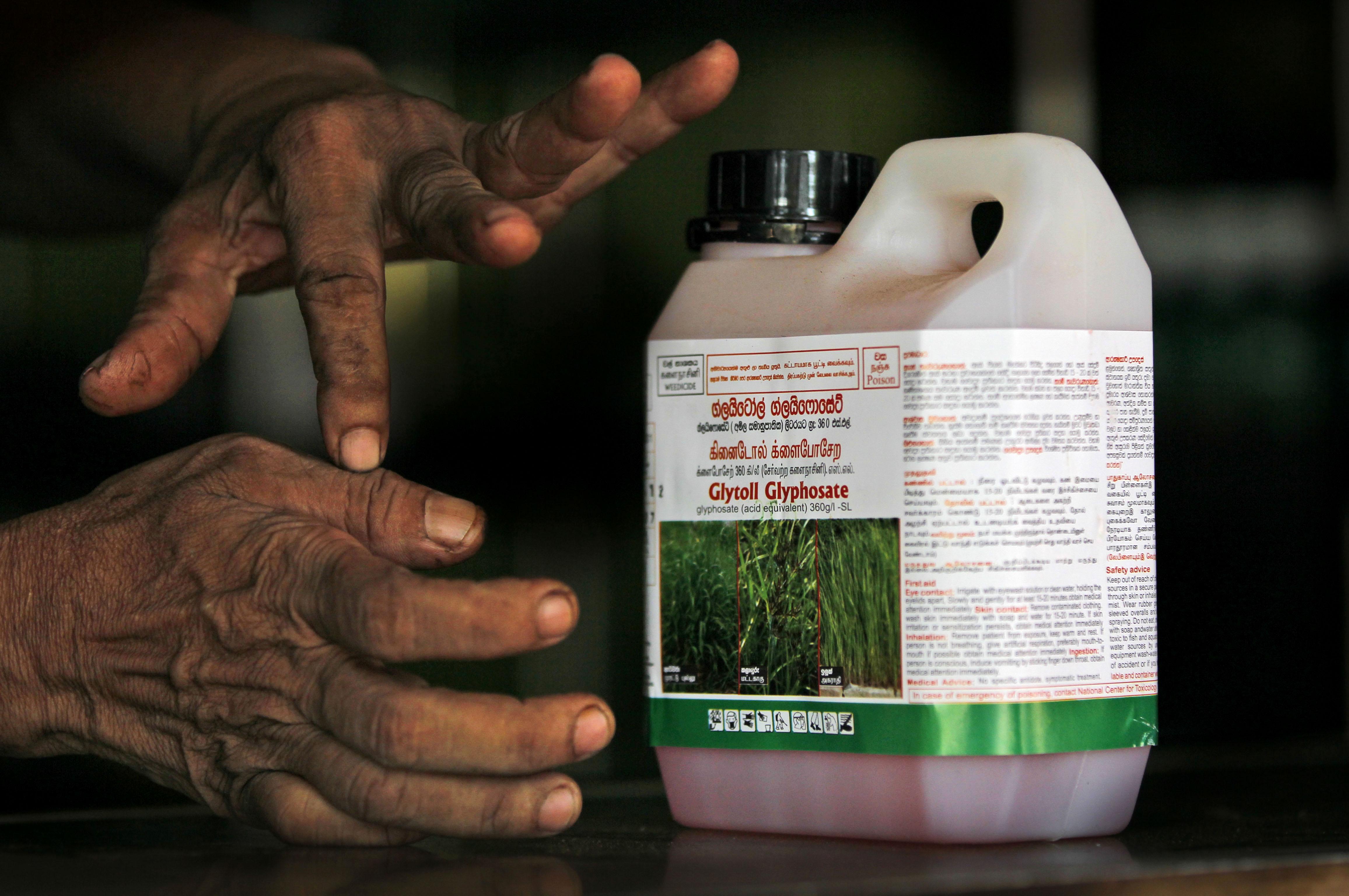 EPA: Glyphosate, the Herbicide in Roundup, Does Not Cause Cancer