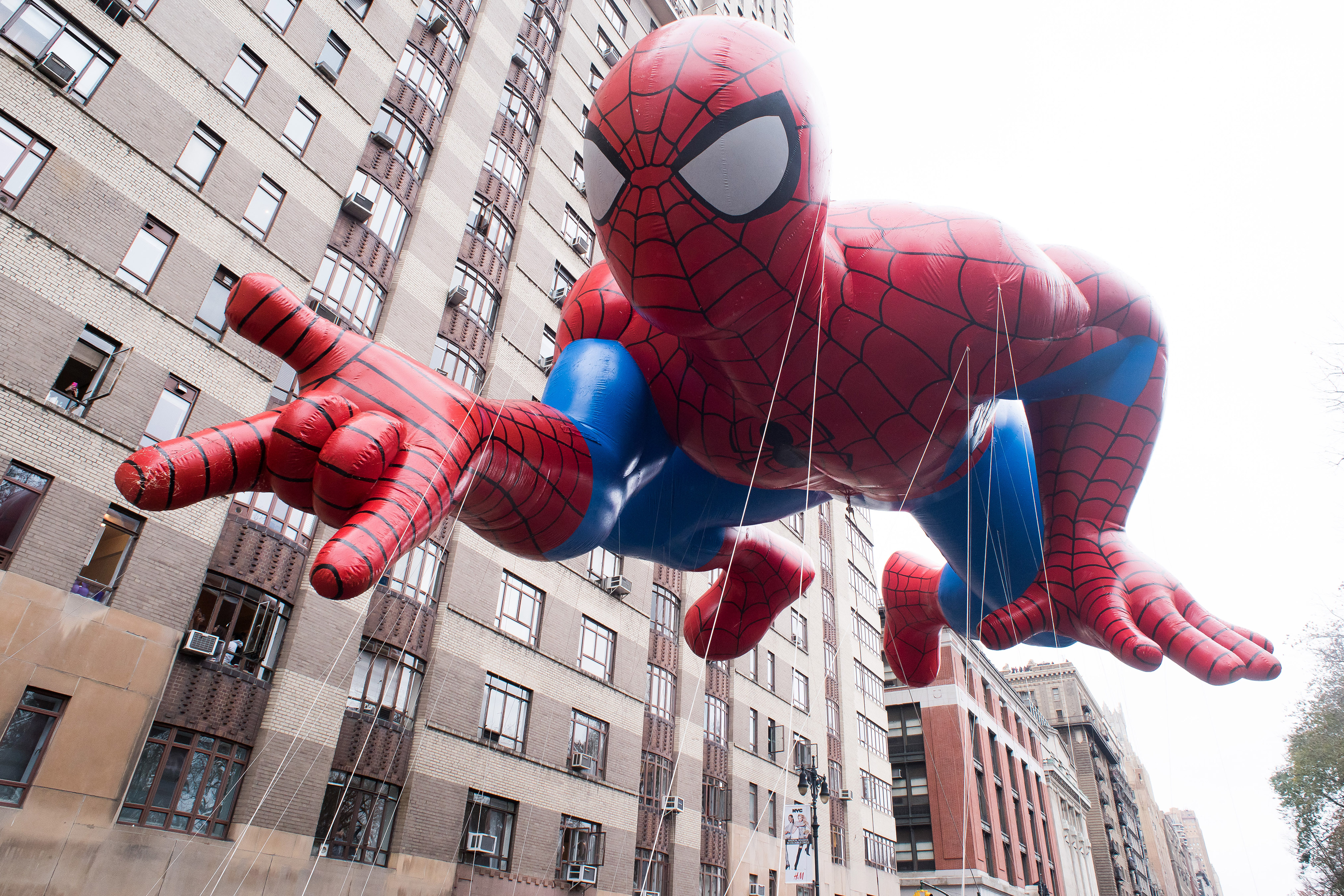 WHAT ABOUT LOVE CINEMA ROMA