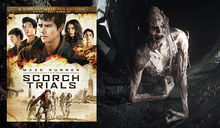 Blu-ray review: 'Maze Runner: The Scorch Trials, Ultimate Fan Edition' -  Washington Times