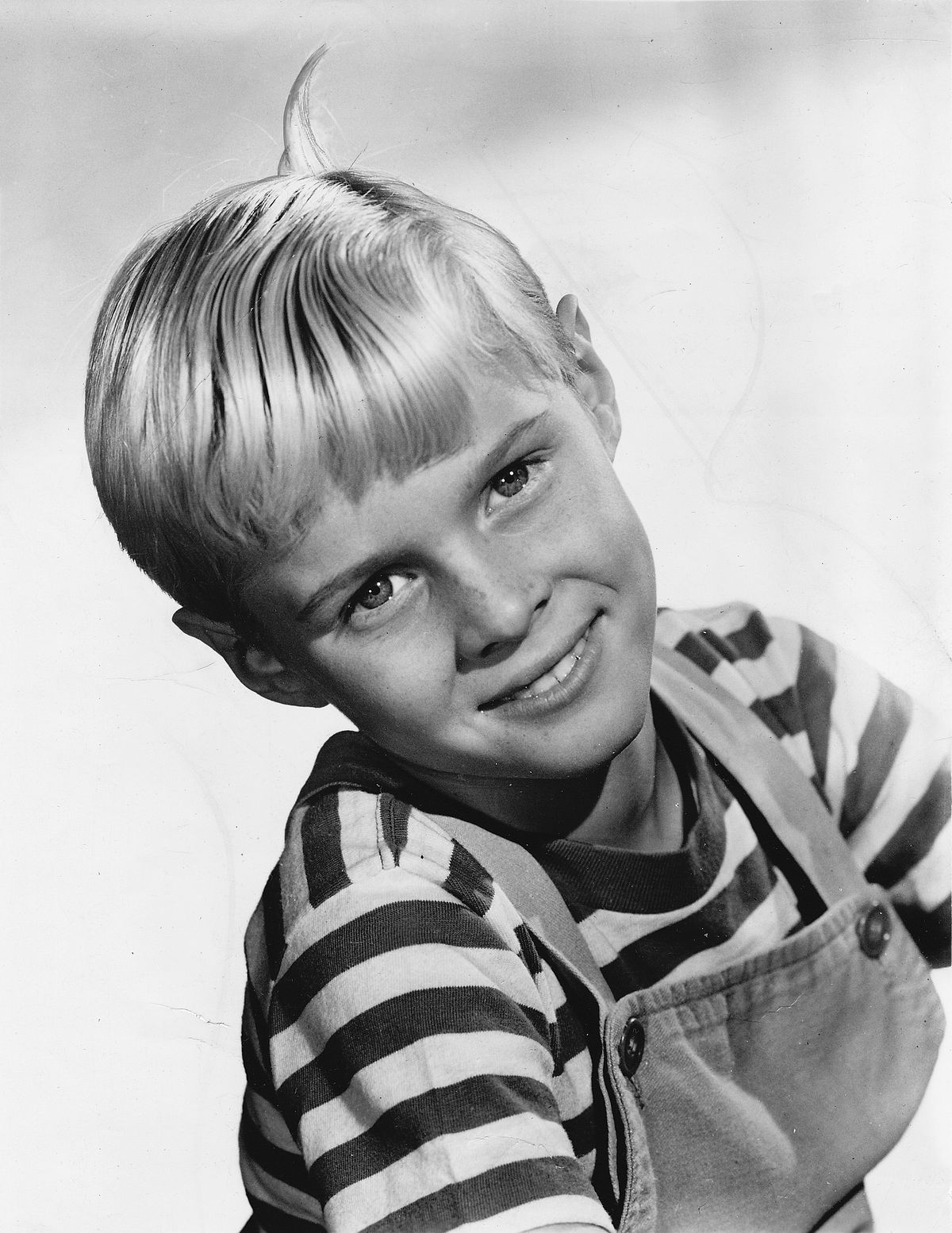 Dennis the Menace' star Jay North later worked as corrections officer, was  in the military - Washington Times