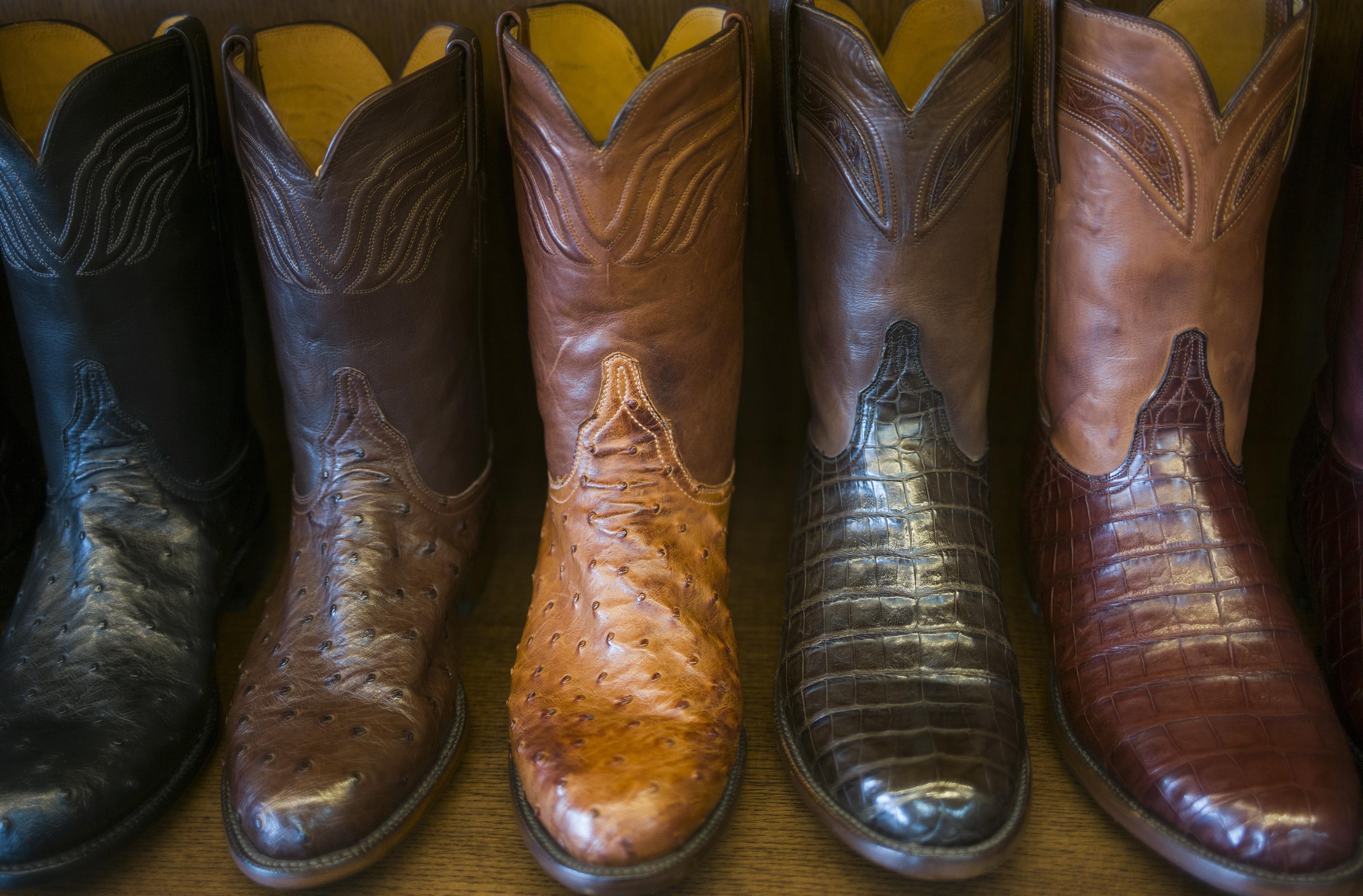 alligator boots cavender's