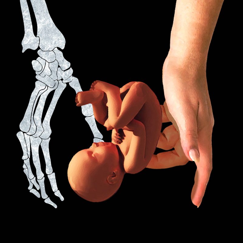 安田コレクション2 Eiga no tomo A child is born Amazon.co.jp: 映画の友 EIGA NO TOMO 1983年 12ヶ月分全揃い（近代