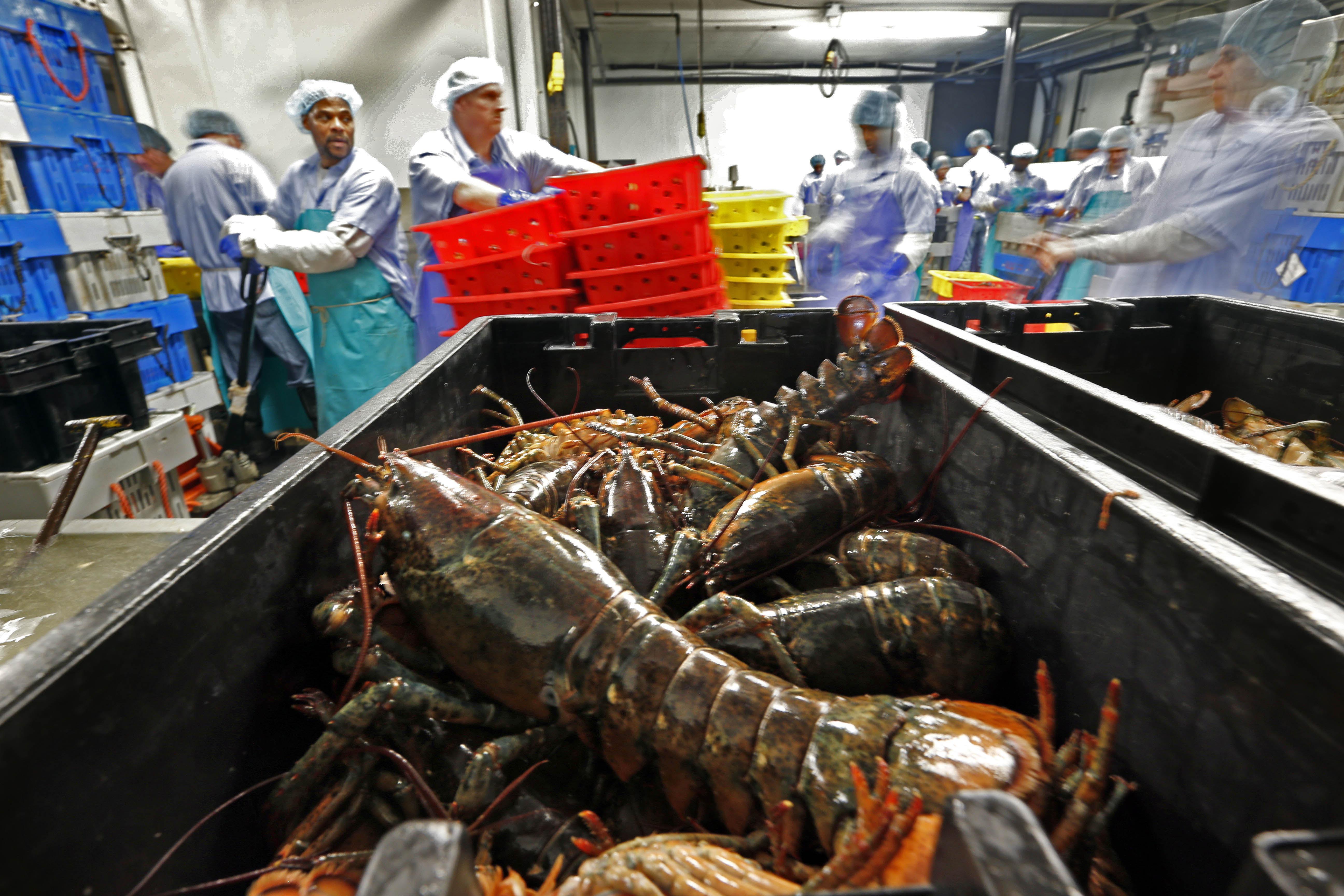 Feds Splurge On Lobster Pianos Golf Carts In Race To Spend Use It Or Lose It Budget Washington Times