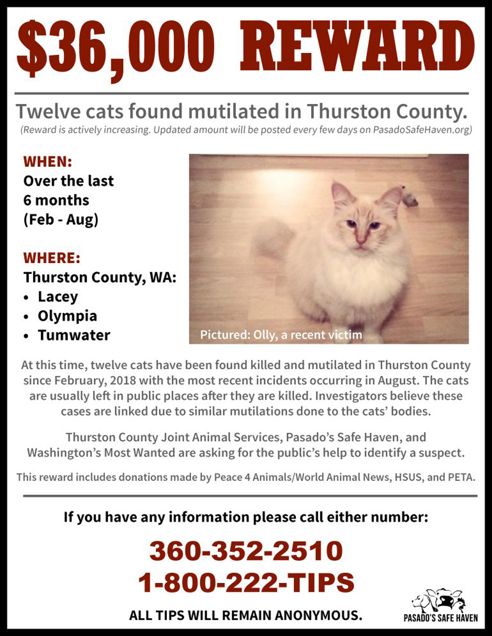 Serial cat killer: 13th mutilated animal found in Tacoma, Washington area -  Washington Times